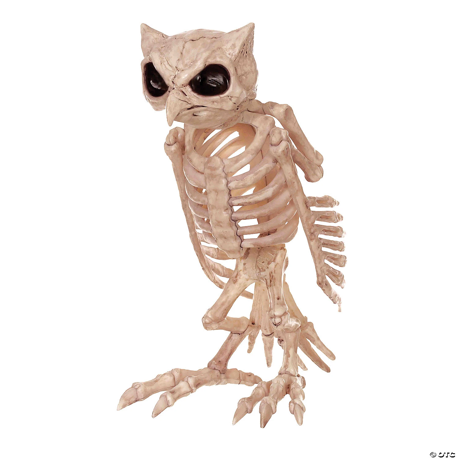 13.5" Owl Skeleton Decoration 3 13.5" Owl Skeleton Decoration