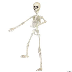 19" Poseable Skeleton Decoration -Halloween Decoration Series 19 poseable skeleton decorationss89504 a02