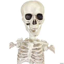 19" Poseable Skeleton Decoration -Halloween Decoration Series 19 poseable skeleton decorationss89504 a03