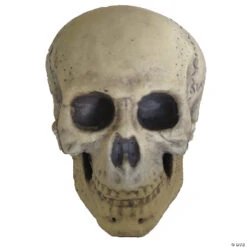 9.5" Foam Skull Decoration