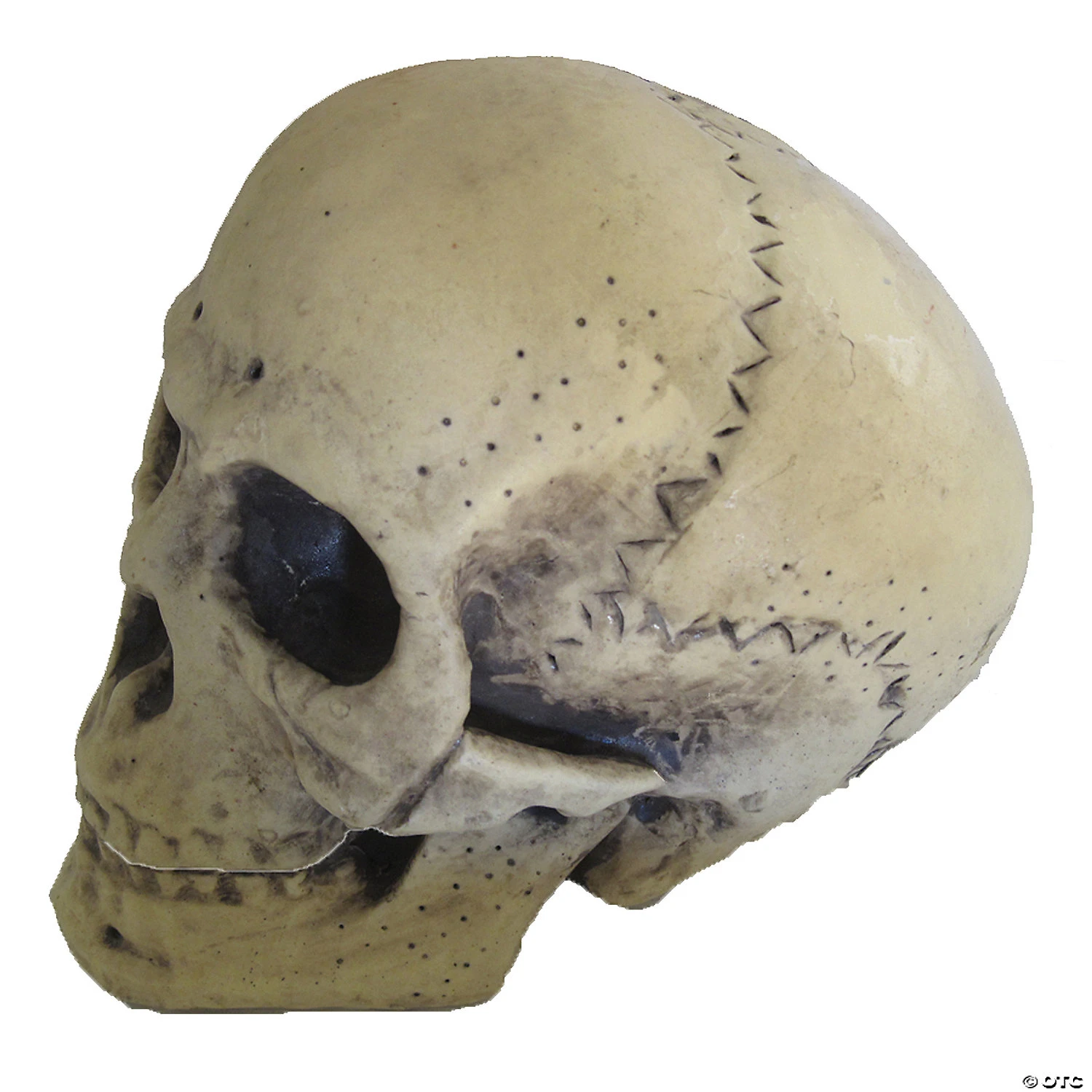 9.5" Foam Skull Decoration 4 9.5" Foam Skull Decoration - Image 2