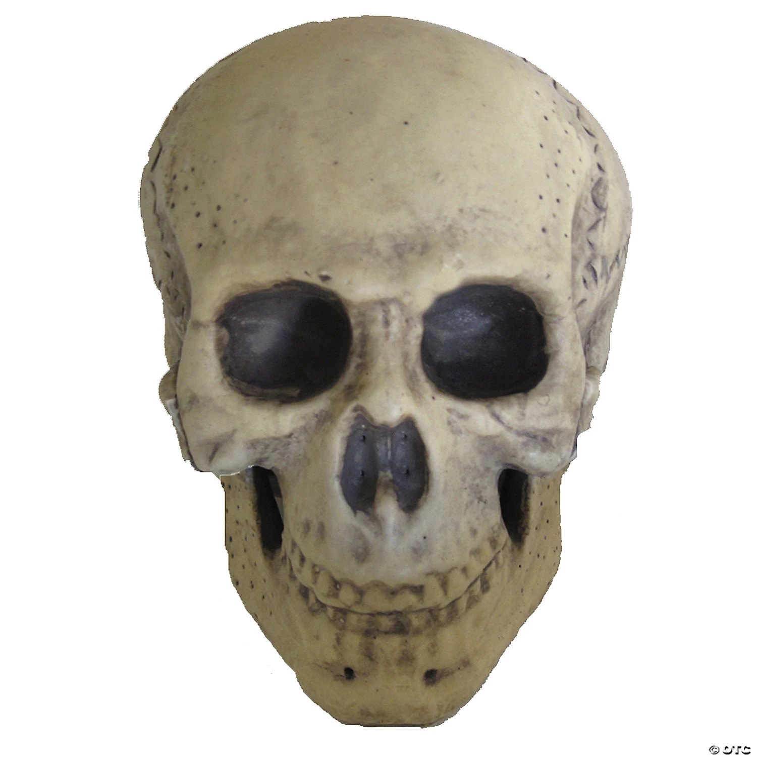 9.5" Foam Skull Decoration 3 9.5" Foam Skull Decoration