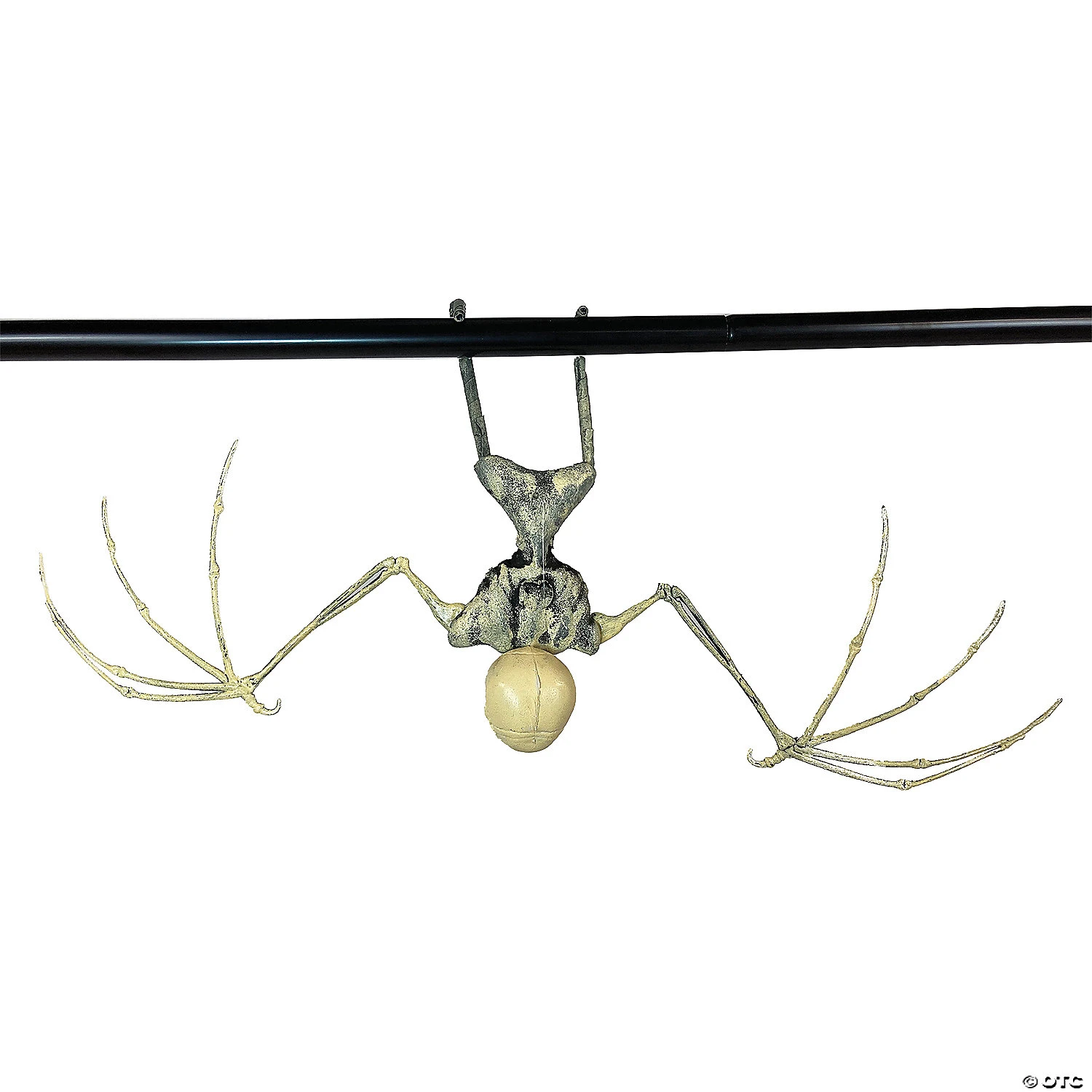 Bat Skeleton 4 Bat Skeleton - Image 2