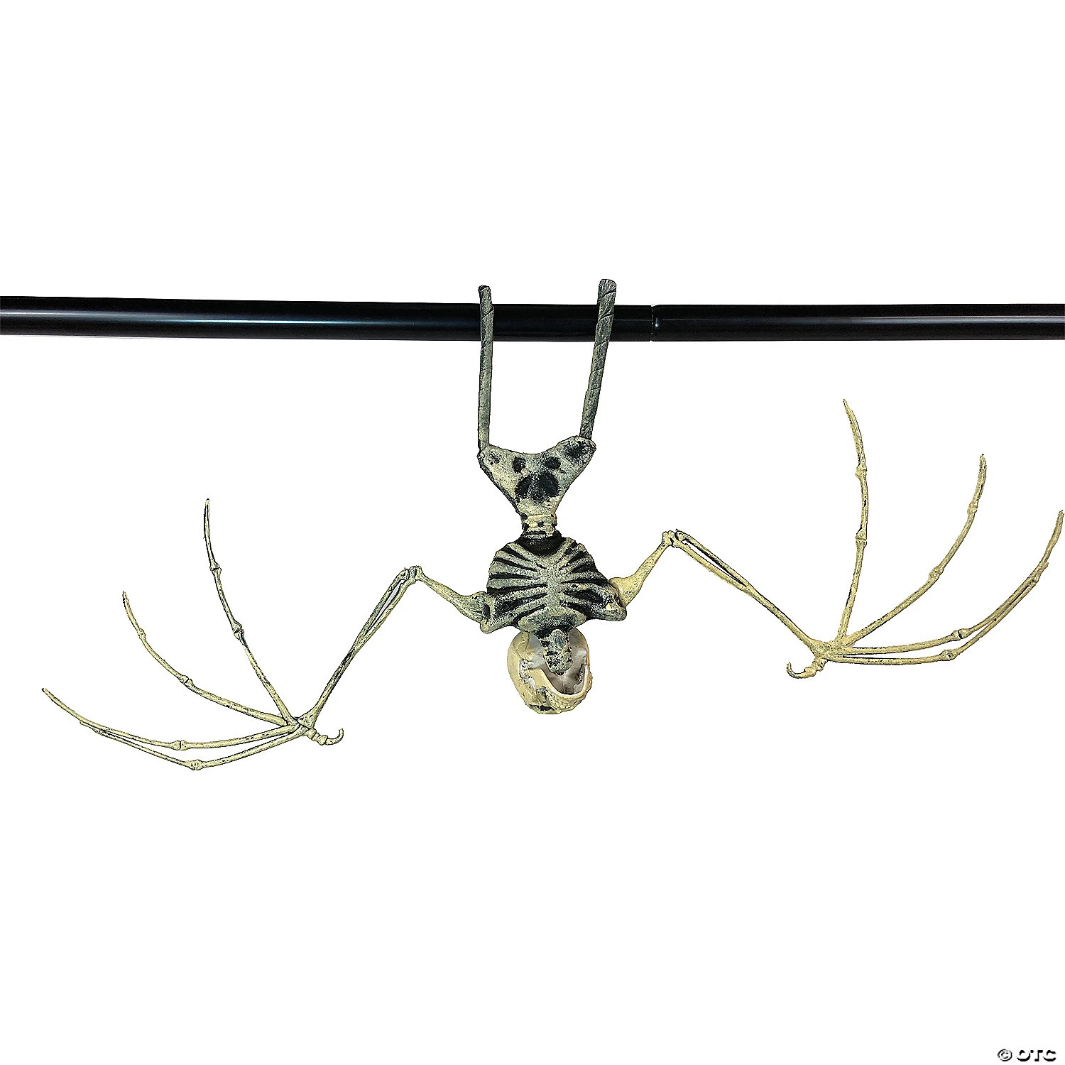 Bat Skeleton 6 Bat Skeleton - Image 4