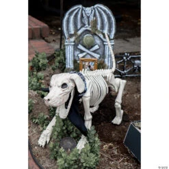 Beagle Bonez Dog Skeleton Halloween Decoration 7 Beagle Bonez Dog Skeleton Halloween Decoration -Halloween Decoration Series beagle bonez dog skeleton halloween decorationse18131 a02