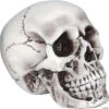 Beige Skull Halloween Decoration -Halloween Decoration Series beige skull halloween decorationss83124