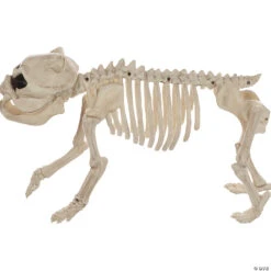 Bones The Dog Skeleton Halloween Decoration -Halloween Decoration Series bones the dog skeleton halloween decorationsez18986 a02