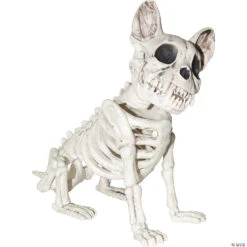 Dog Skeleton