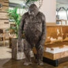 Gorilla Prop -Halloween Decoration Series gorilla propdu1276