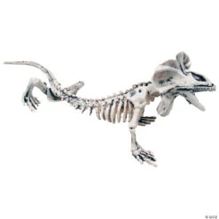 Lizard Skeleton Decoration
