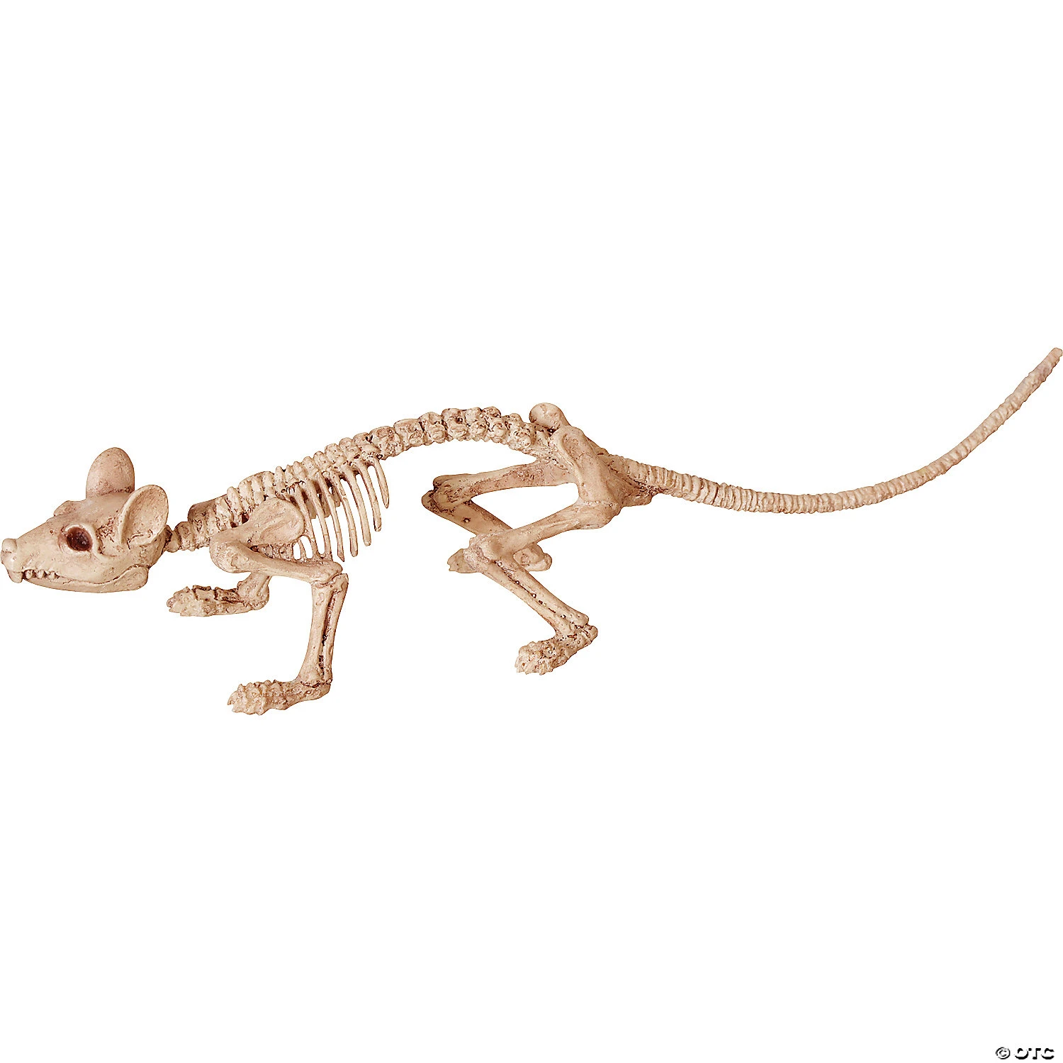 Mini Skeleton Rat Prop 3 Mini Skeleton Rat Prop