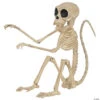 Monkey Skeleton -Halloween Decoration Series monkey skeletonsew80787