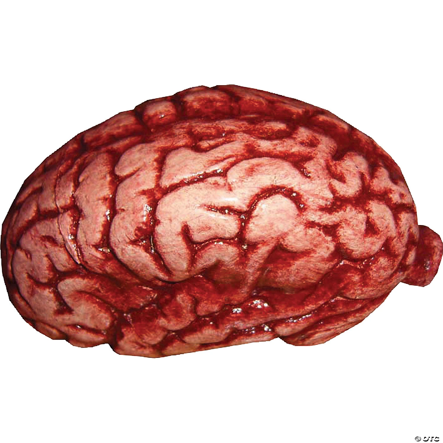 Realistic Brain Prop Halloween Decoration 3 Realistic Brain Prop Halloween Decoration
