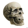 Realistic Rotting Skull Decoration 1 Realistic Rotting Skull Decoration -Halloween Decoration Series realistic rotting skull decorationmr122235