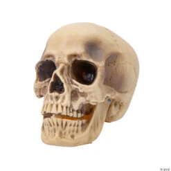 Realistic Rotting Skull Halloween Decoration