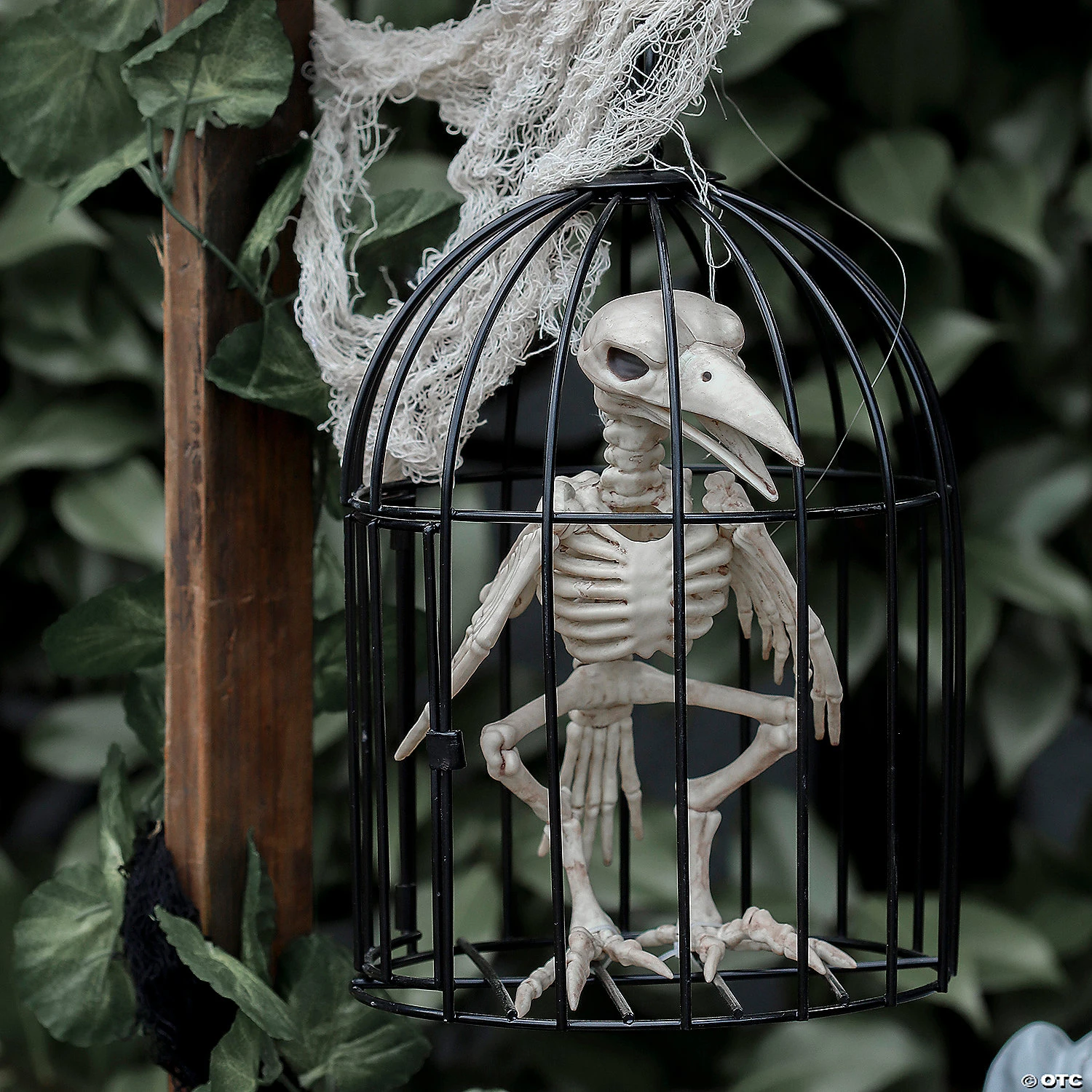 Skeleton Crow In A Cage 7 Skeleton Crow In A Cage - Image 5