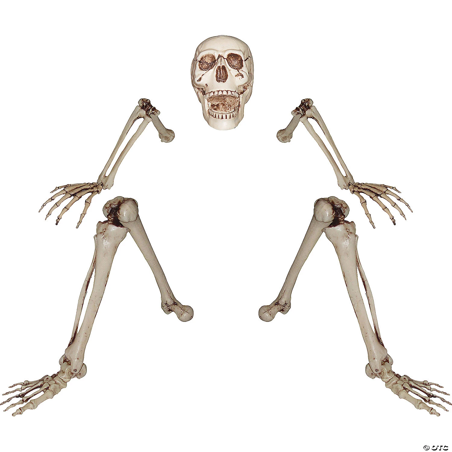 Skeleton Groundbreaker Decoration 4 Skeleton Groundbreaker Decoration - Image 2