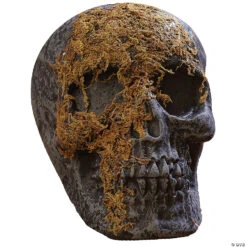 Skull Moss Covered With Jaw